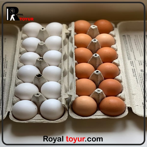 تخم‌مرغ محلی